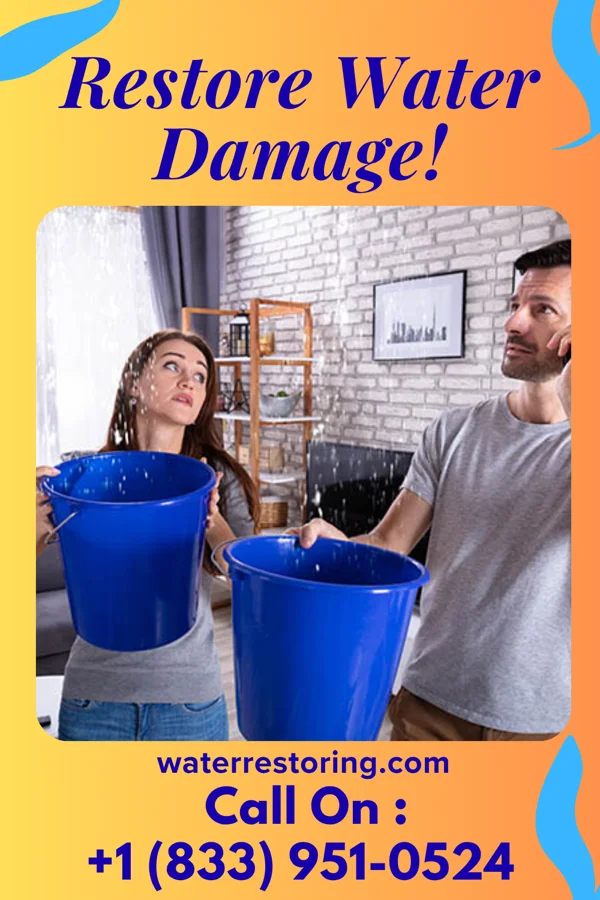 water restoration Sterling Water Damage Inc Wheeler